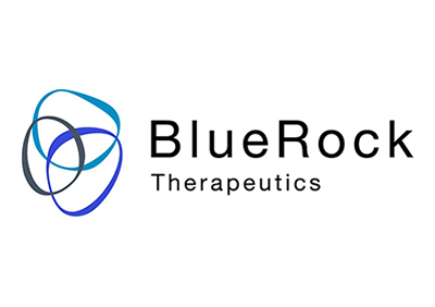 Bluerock_TX_Logo_400x282